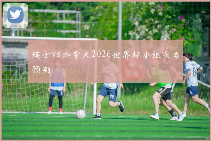 瑞士vs加拿大2026世界杯小组头名预测