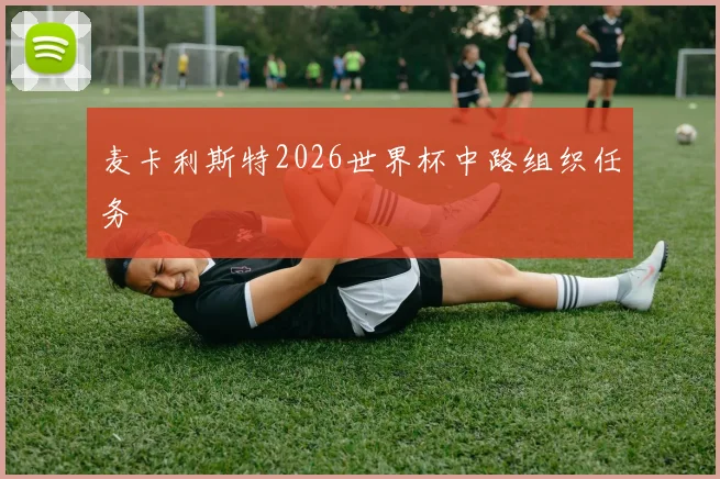 麦卡利斯特2026世界杯中路组织任务