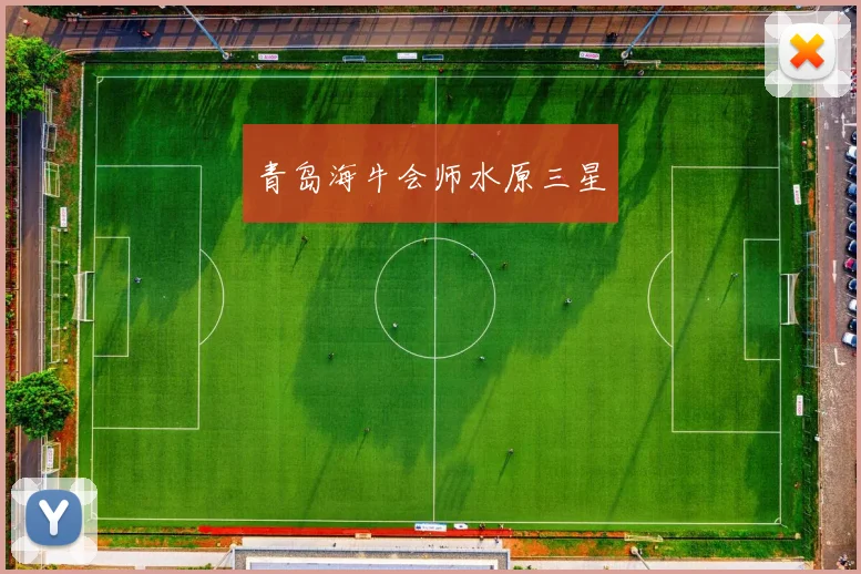 青岛海牛会师水原三星