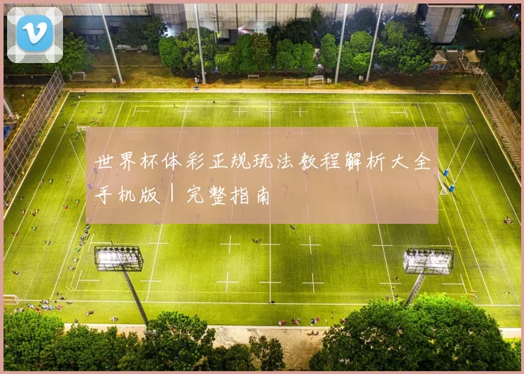 世界杯体彩正规玩法教程解析大全手机版｜完整指南