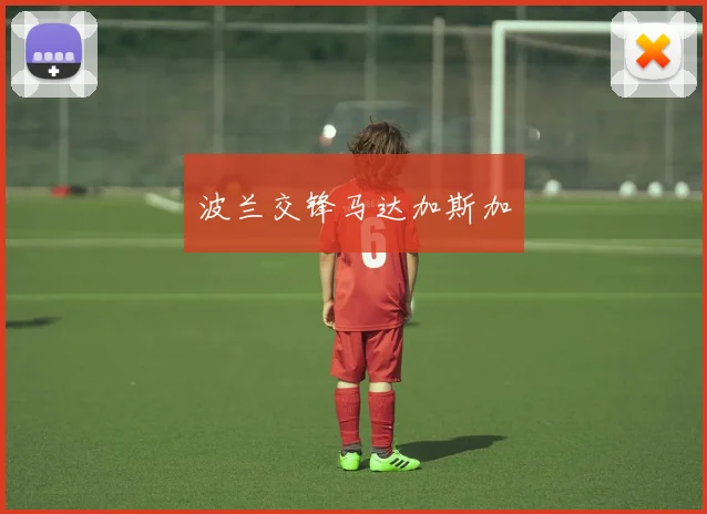 波兰交锋马达加斯加