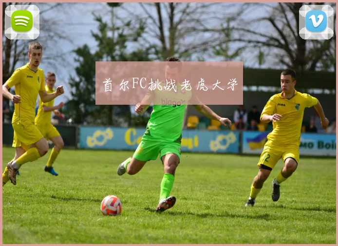 首尔FC挑战老虎大学