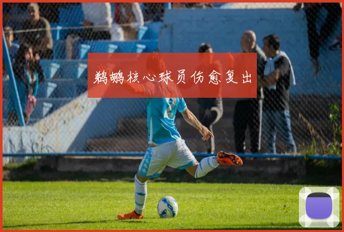 鹈鹕核心球员伤愈复出