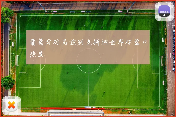 葡萄牙对乌兹别克斯坦世界杯盘口热度