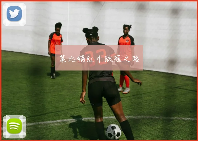 莱比锡红牛欧冠之路