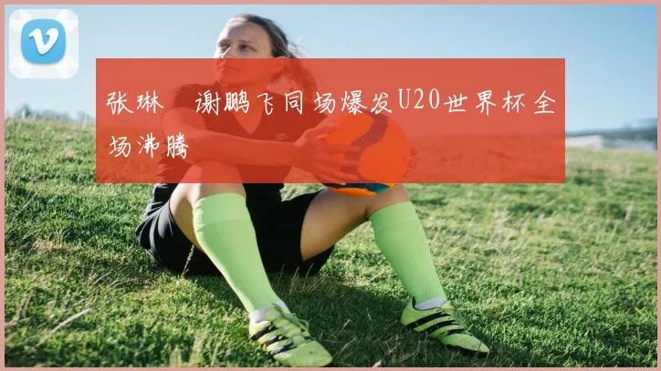 张琳芃谢鹏飞同场爆发U20世界杯全场沸腾