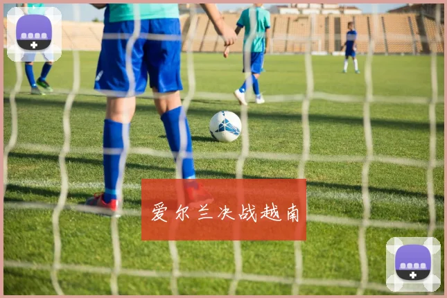 爱尔兰决战越南