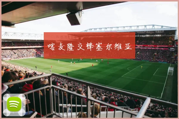 喀麦隆交锋塞尔维亚