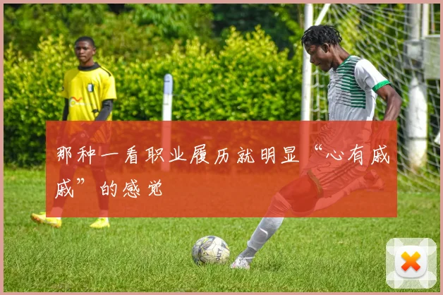 那种一看职业履历就明显“心有戚戚”的感觉