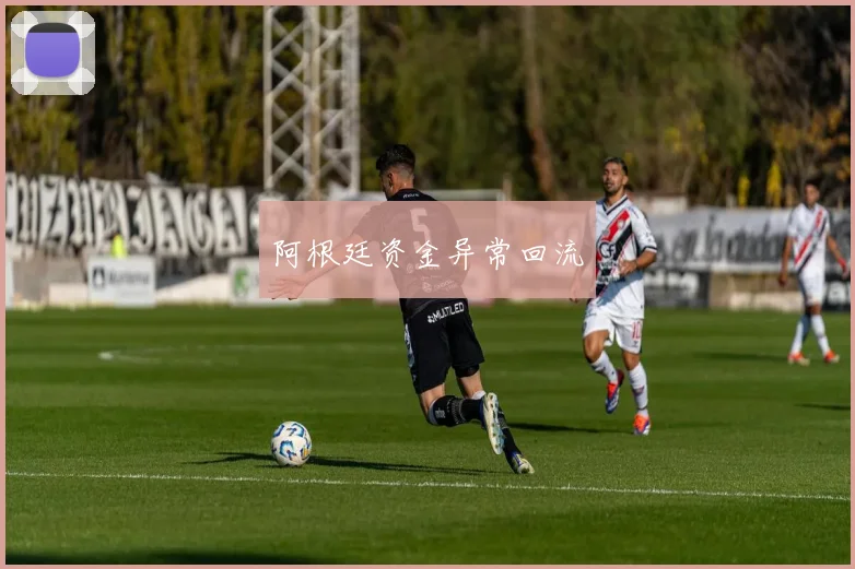 阿根廷资金异常回流