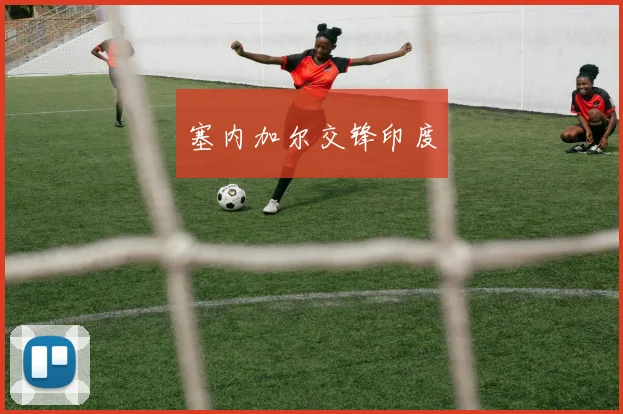 塞内加尔交锋印度