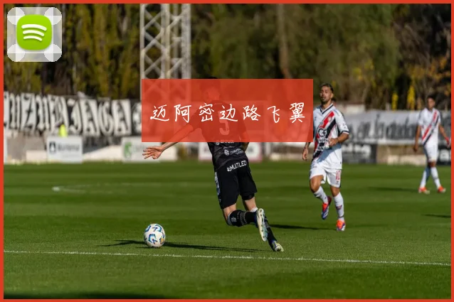迈阿密边路飞翼