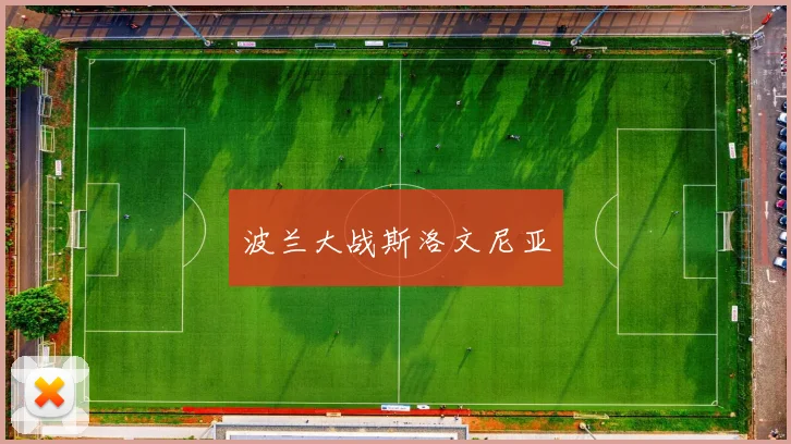 波兰大战斯洛文尼亚