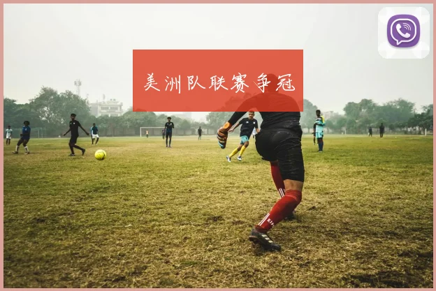 美洲队联赛争冠