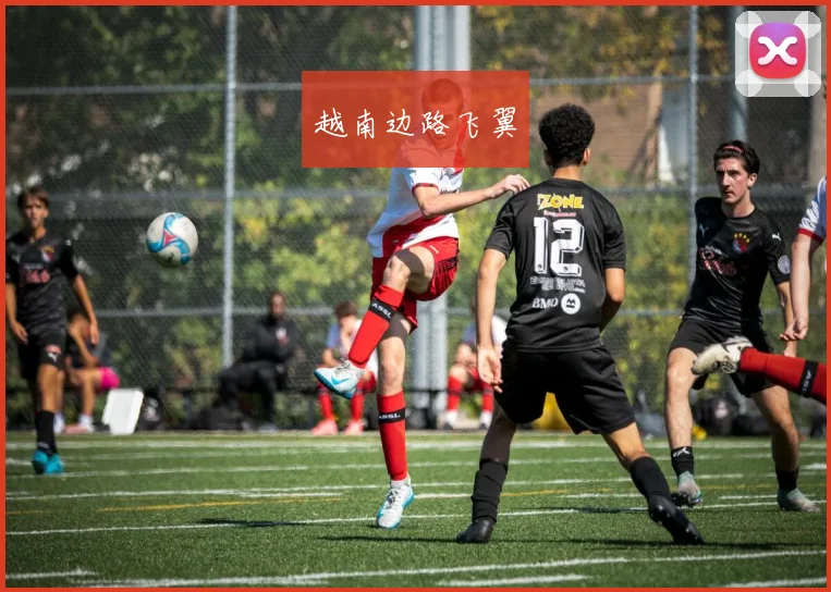 越南边路飞翼