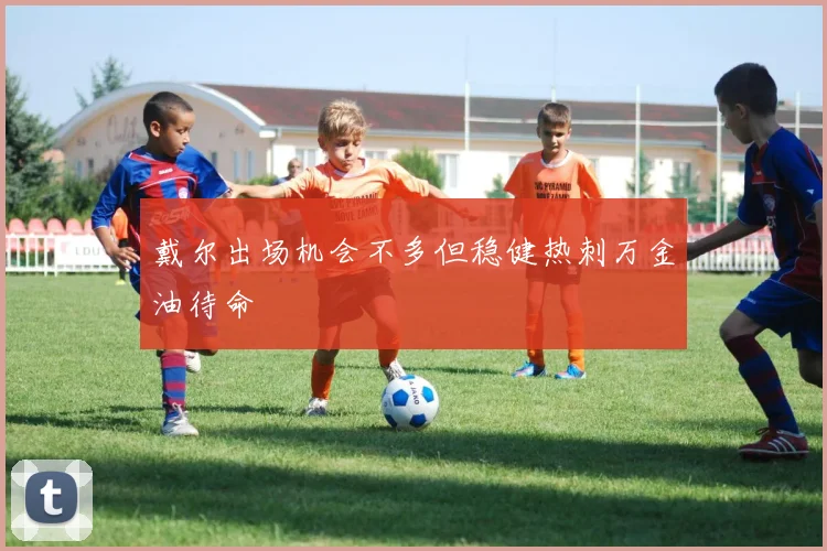戴尔出场机会不多但稳健热刺万金油待命