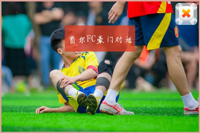 首尔FC豪门对话