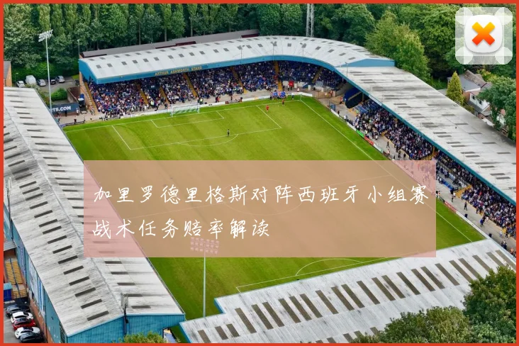 加里罗德里格斯对阵西班牙小组赛战术任务赔率解读