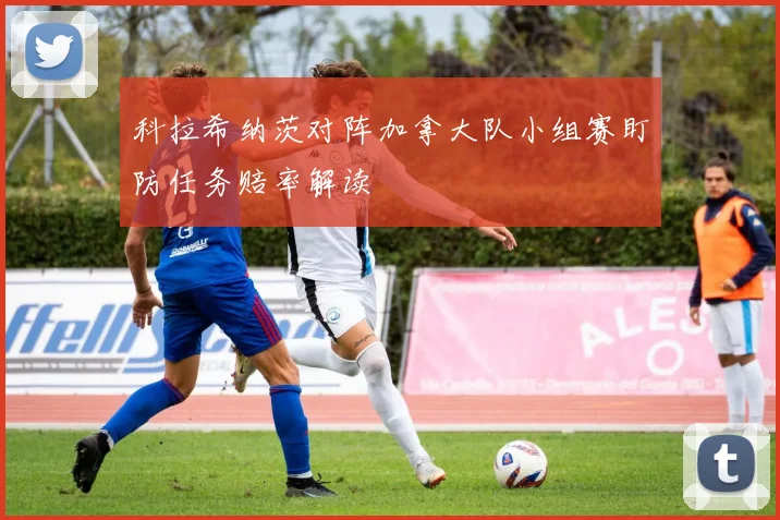 科拉希纳茨对阵加拿大队小组赛盯防任务赔率解读