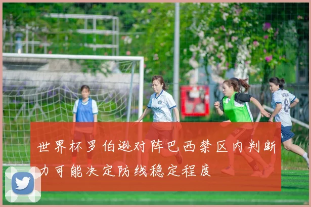 世界杯罗伯逊对阵巴西禁区内判断力可能决定防线稳定程度